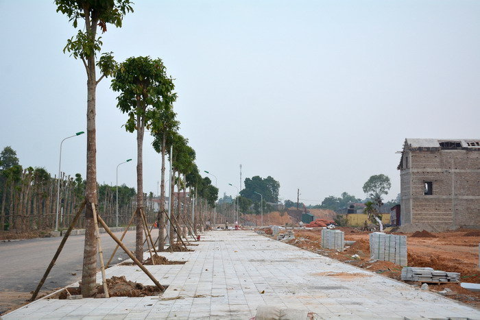 Ảnh mạng
