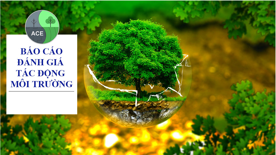 Thực hiện đồng thời thủ tục về môi trường và thủ tục về xây dựng đối với các dự án đầu tư xây dựng công trình trên địa bàn tỉnh  Bình Định