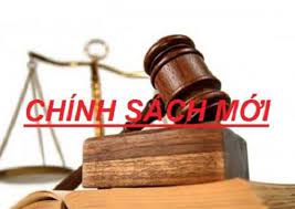 Chính sách mới