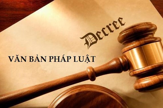Nghị định sửa đổi, bổ sung một số Điều của Nghị định Quy định chi tiết một số Điều và biện pháp thi hành Luật ban hành văn bản quy phạm pháp luật