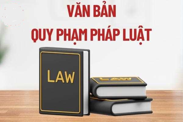 Nghị định số 68/2025/NĐ-CP sửa đổi, bổ sung một số điều của Nghị định số 118/2021/NĐ-CP hướng dẫn Luật Xử lý vi phạm hành chính